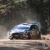 Block & Gelsomino (winners 2014) approaching the harpin in stage 1 of the Rally in the 100 Acre Woods 2014 Block & Gelsomino (winners 2014) approaching the harpin in stage 1 of the Rally in the 100 Acre Woods 2014