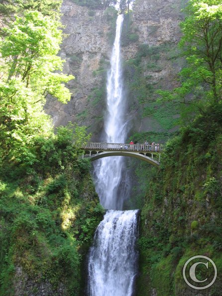 Falling Water