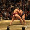 Sumo! III